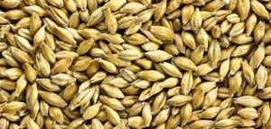 Medium Peated Grain per kg