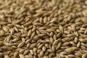 Mild Peat Smoked Malt per kg