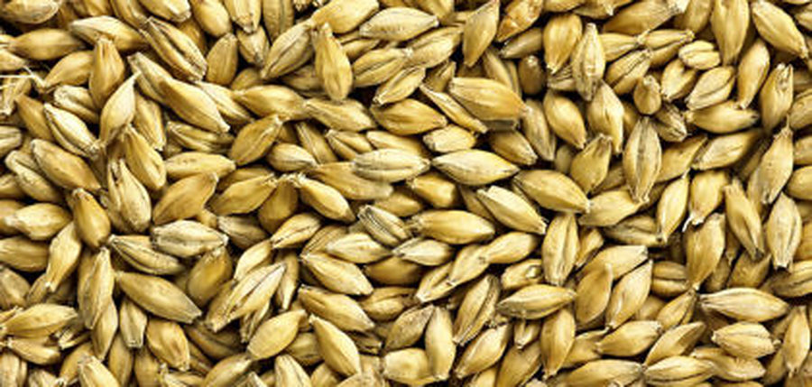 Distillers Grain Unsmoked per kg
