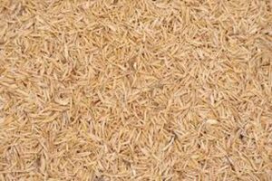 Rice Hulls 1kg