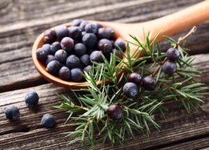 Juniper Berries 100g