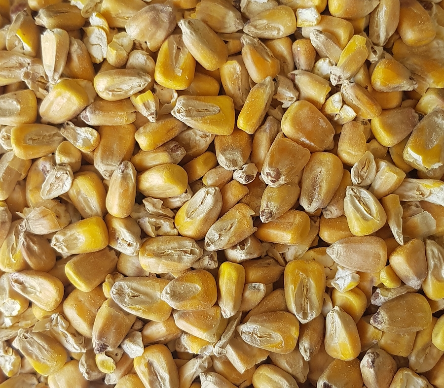 Maize Malt 25kg