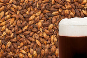 Chocolate Malted Grain per kg