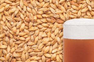 Caramel Pilsner Malted Grain per kg