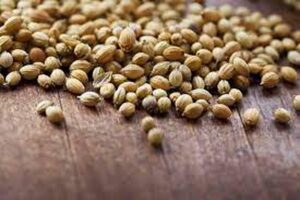 Coriander Seed 100g