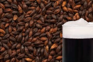 Black Malted Grain - 25Kg