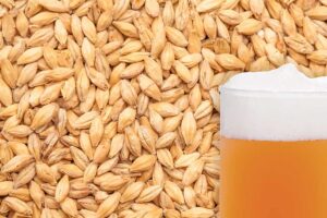 Maris Otter Malted Grain - 25Kg