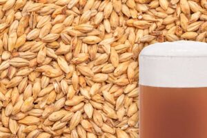 Crystal Dark Malted Grain - 25Kg