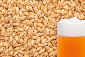 Acidulated Grain - 25Kg