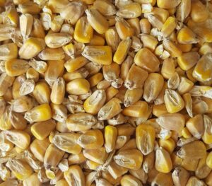 Maize Malt 25kg